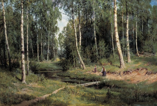 In The Birch Tree Forest by Ivan Shishkin